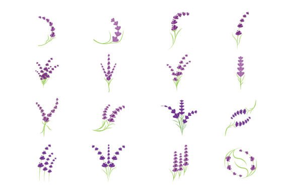 Download Lavender Logo Vector Design - Premium Resources